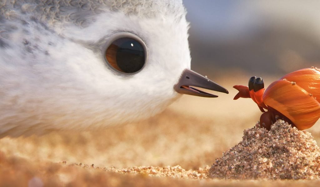 piper banner
